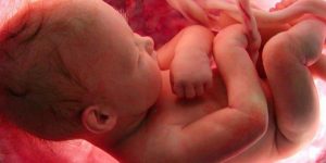 Эволюция греха На телевизионном молодежном ток-шоу в программе о добрачных интимных отношениях группа молодых людей категорически заявила